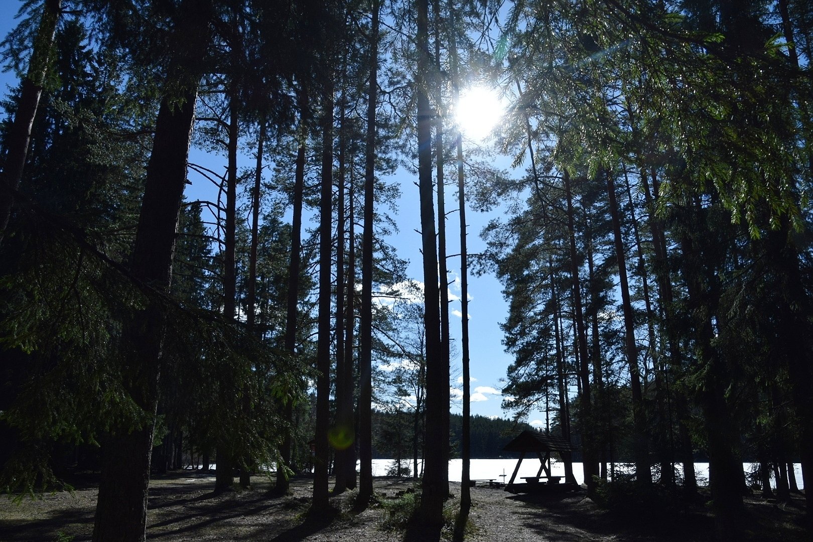 RMK Järvi Pikkjärve telkimisala